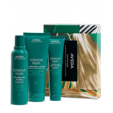 Aveda - Botanical Repair Strengthening Essentials Set 