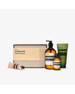 Aesop - Congruous Elaborate Body Kit