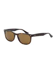 Ray-Ban Polarised Classic Brown