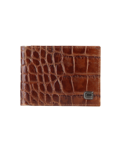 Cavalli Class Men's Wallet - Brown/Dark Green