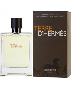 Hermès Terre d'Hermès Eau de Toilette (100ml)