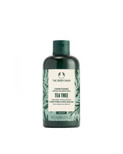 U_THEBODYSHOP_5028197426101