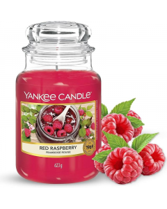 U_YANKEE_5038580061871