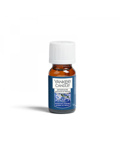 U_YANKEE_5038581126258