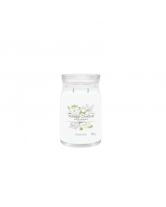 U_YANKEE_5038581129419