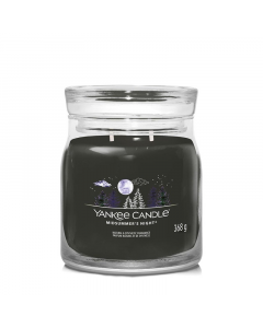 U_YANKEE_5038581129525