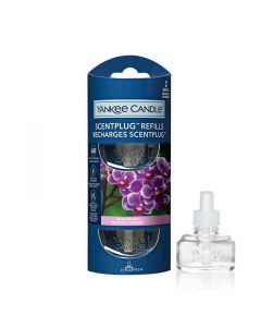 U_YANKEE_5038581150109