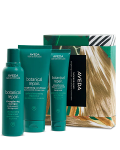 Aveda - Botanical Repair Strengthening Essentials Set 