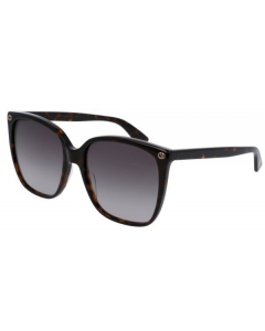 Gucci - GG0022S 003 Woman's Sunglasses Havana Brown