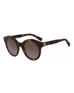 Salvatore Ferragamo Sunglasses SF862S 214