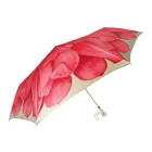 Pasotti Umbrella (includes gift box)
