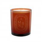 Diptyque - Ambre Scented Candle (300g)