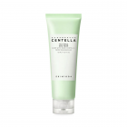 Skin 1004 - Madagascar Centella Tea-trica BHA Foam (125ml)