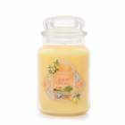 Yankee Candle - Frozen Lemon Gelato Large Jar