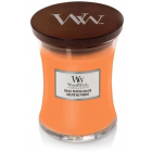 WoodWick - Chilli Pepper Gelato Medium Hourglass Candle Damaged