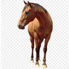 test prod edited by admin