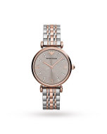 Emporio Armani Two Tone Ladies Watch AR1840