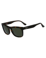 Salvatore Ferragamo Sunglasses SF776S 281